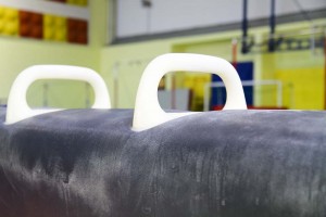 IMG_3351